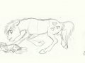 age_thingy__pinkie_pie_by_earthsong9405-d6rhq91.jpg